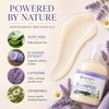 image:imageGinger Lily Farms Botanicals Shampoo 128oz Island TranquilityLavender Chamomile