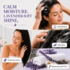 image:imageGinger Lily Farms Botanicals Shampoo 128oz Island TranquilityLavender Chamomile