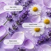 image:imageGinger Lily Farms Botanicals Shampoo 128oz Island TranquilityLavender Chamomile