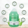 image:imageGinger Lily Farms Club amp Fitness Shampoo 128oz Rain WaterAloe Vera