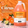 image:imageGinger Lily Farms Club amp Fitness Shampoo 128oz Rain WaterCitrus