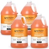 image:imageGinger Lily Farms Club amp Fitness Shampoo 128oz Rain WaterCitrus