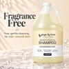 image:imageGinger Lily Farms Club amp Fitness Shampoo 128oz Rain WaterUnscented